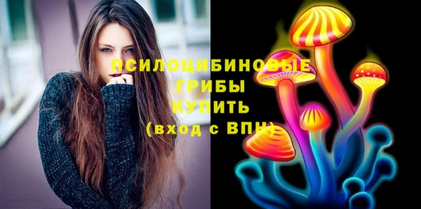 дмт Горнозаводск