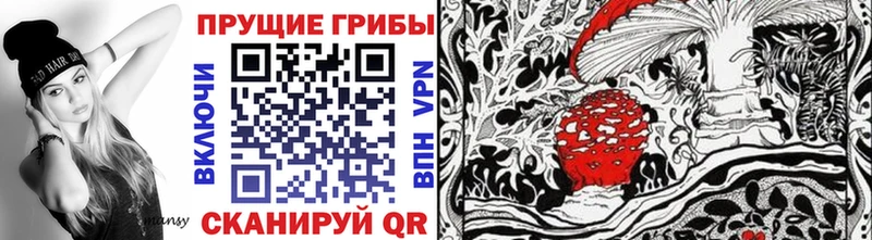 купить наркотик  Липецк  Псилоцибиновые грибы ЛСД 